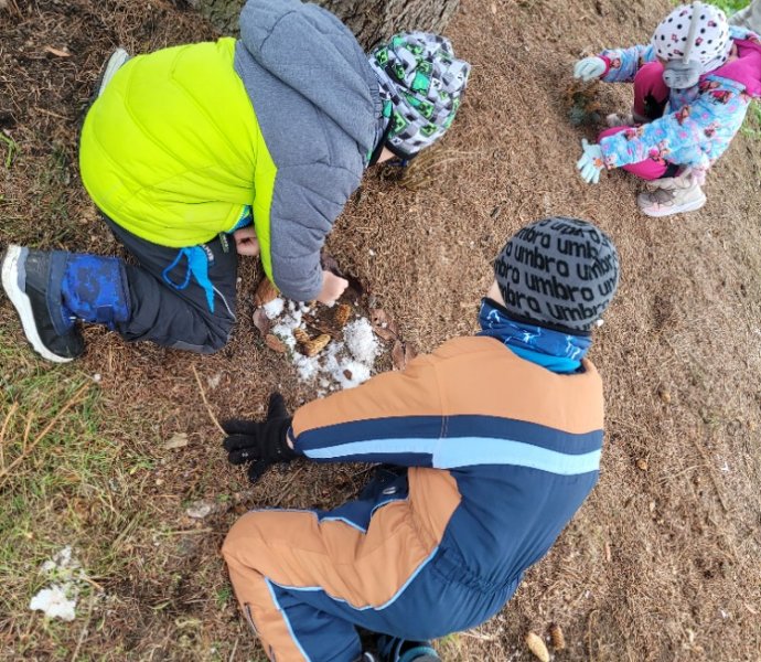 Obrázek galerie  32894