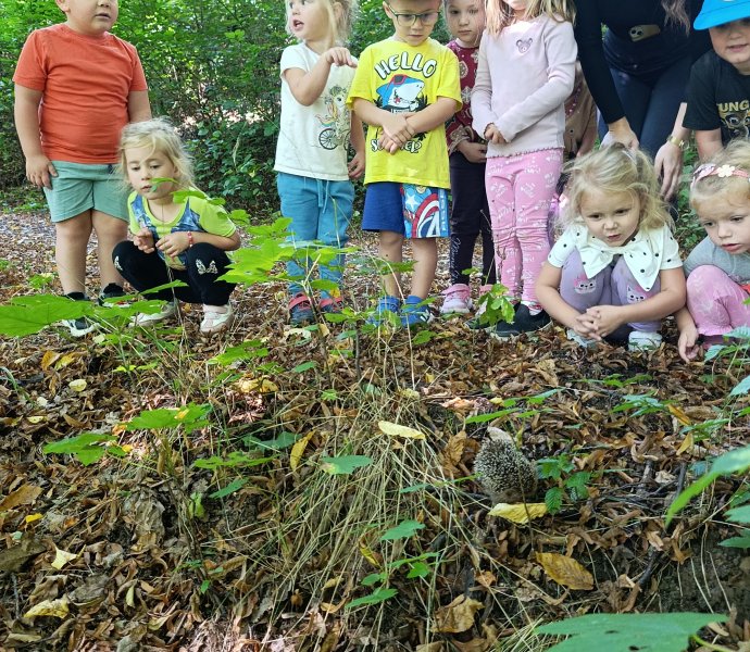 Obrázek galerie  33076