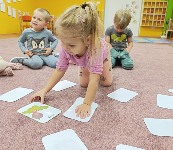 Obrázek galerie  33205