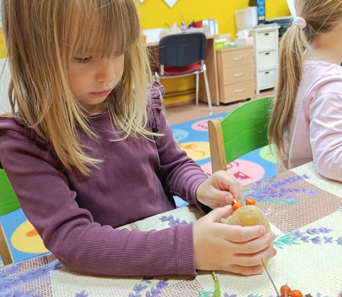 Obrázek galerie  33247