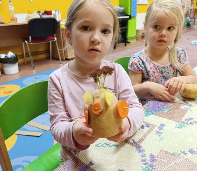 Obrázek galerie  33252