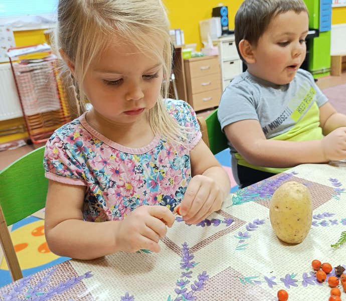 Obrázek galerie  33253