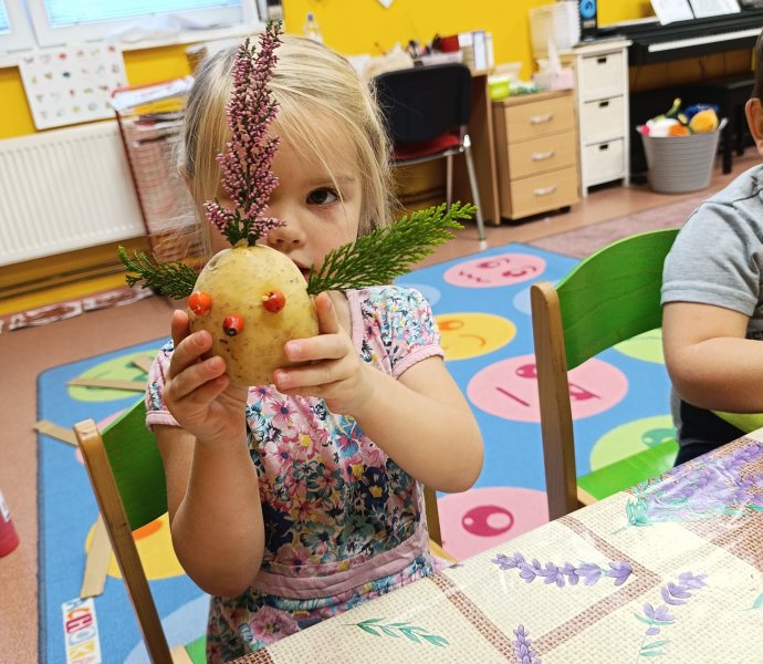 Obrázek galerie  33255