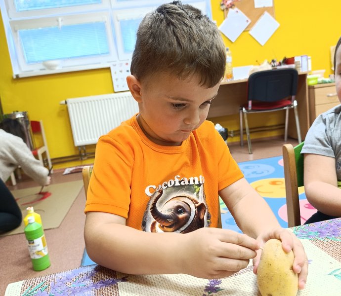 Obrázek galerie  33258