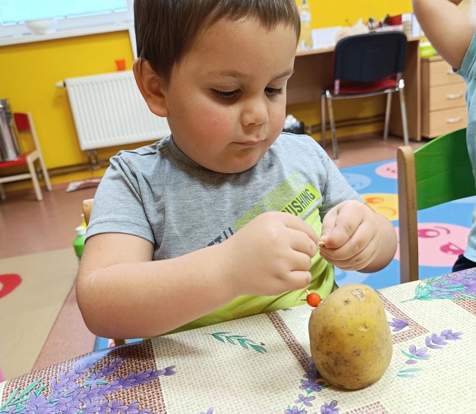 Obrázek galerie  33261