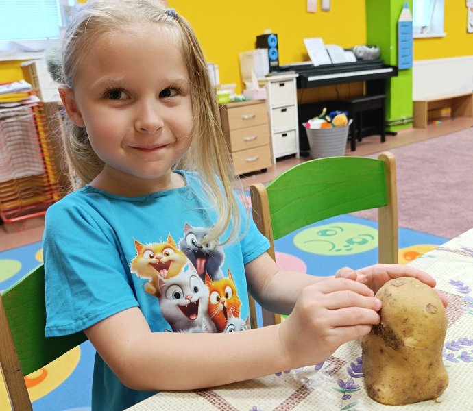 Obrázek galerie  33265