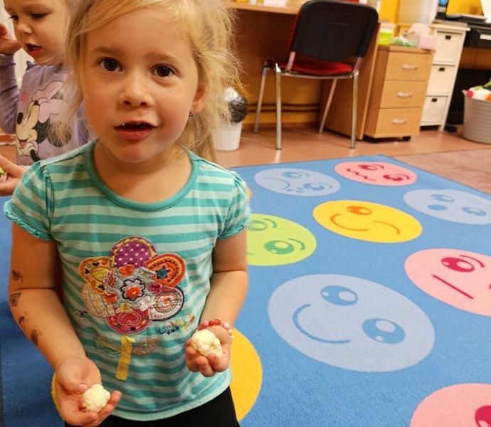 Obrázek galerie  33271