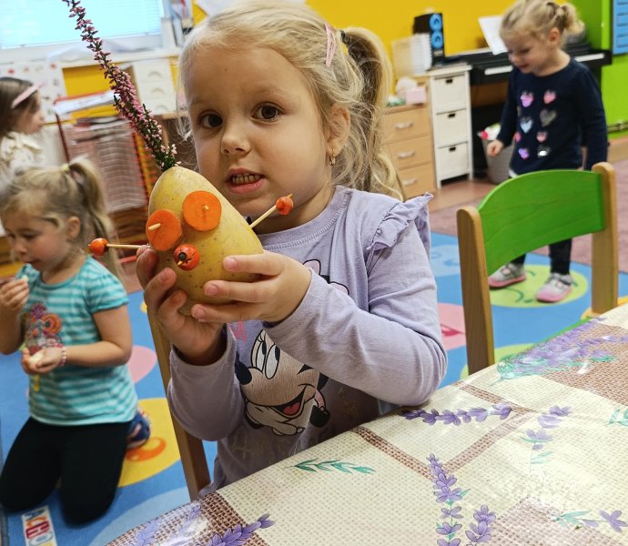 Obrázek galerie  33276