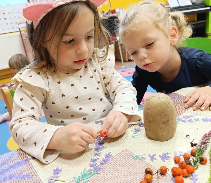 Obrázek galerie  33277