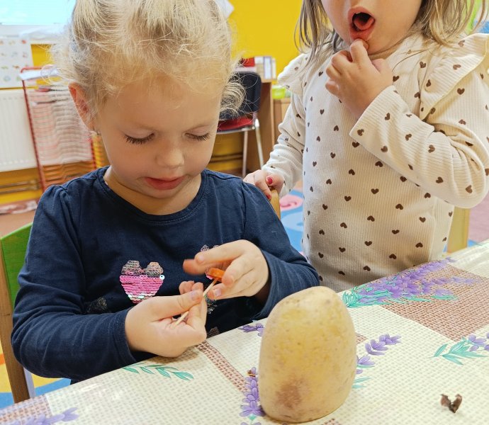 Obrázek galerie  33282