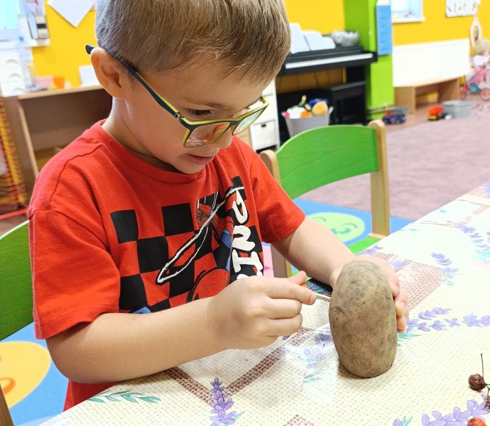 Obrázek galerie  33290