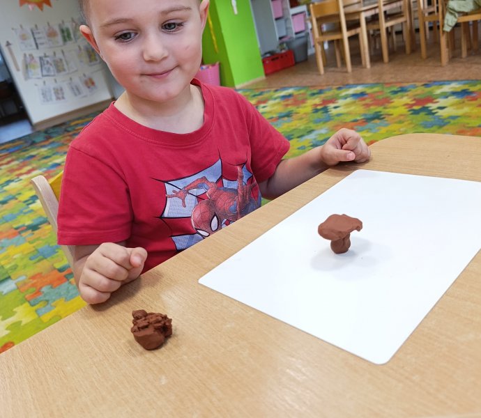 Obrázek galerie  33312