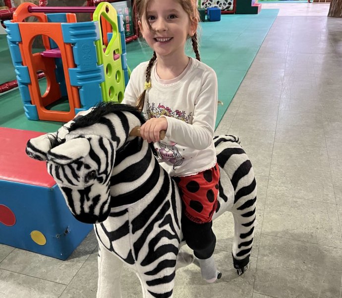 Obrázek galerie  33435