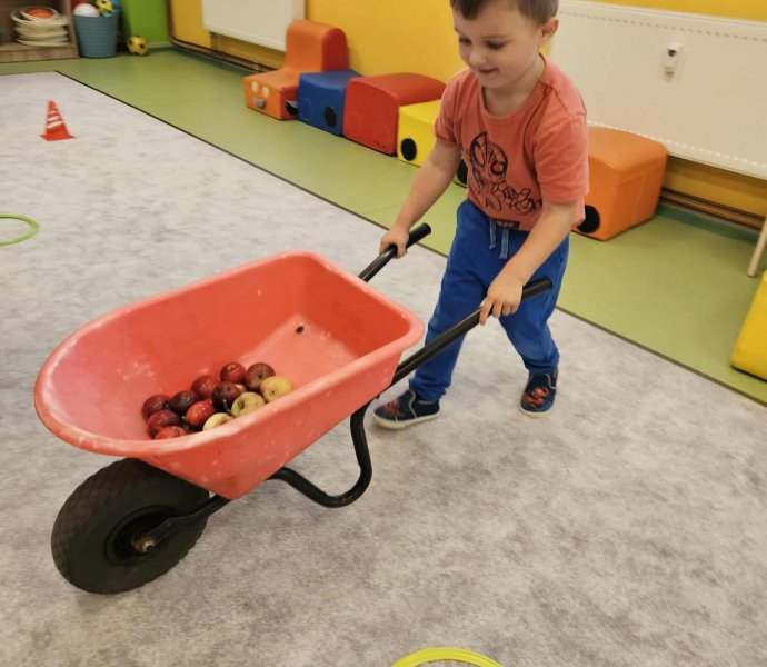 Obrázek galerie  33494