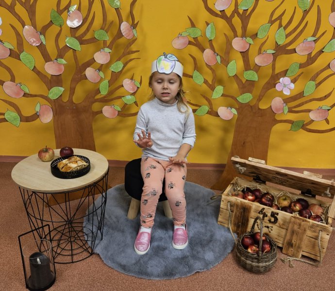 Obrázek galerie  33547