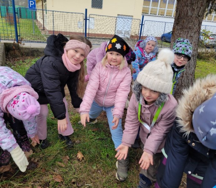 Obrázek galerie  33846