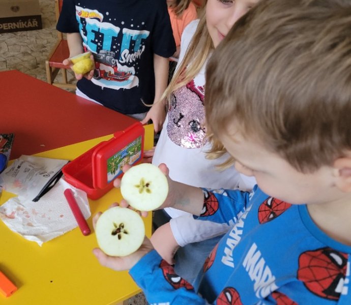 Obrázek galerie  33853