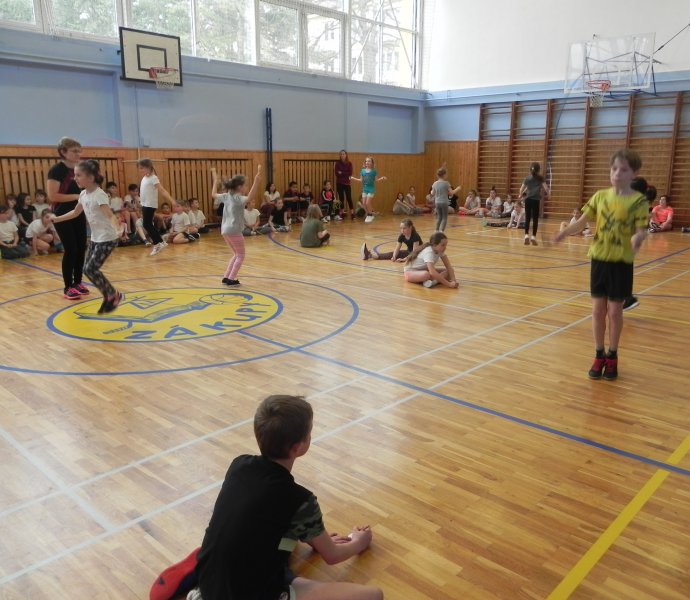 Obrázek galerie  2659