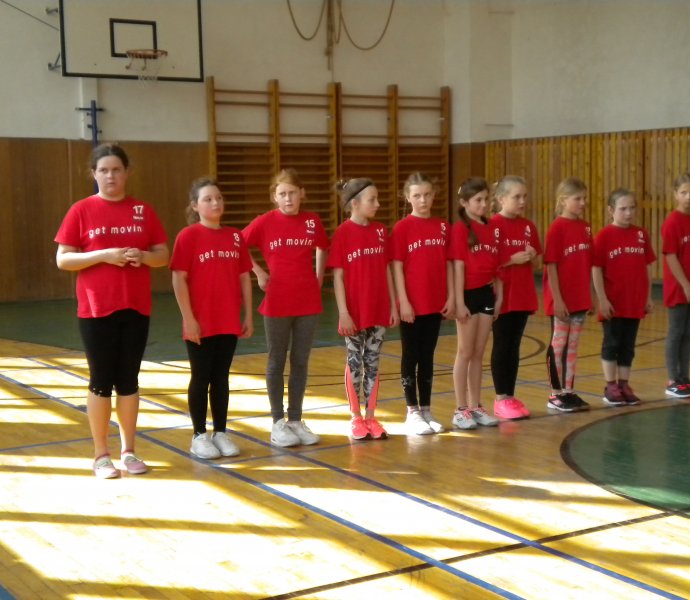 Obrázek galerie  2909