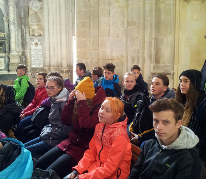 Obrázek galerie  3173