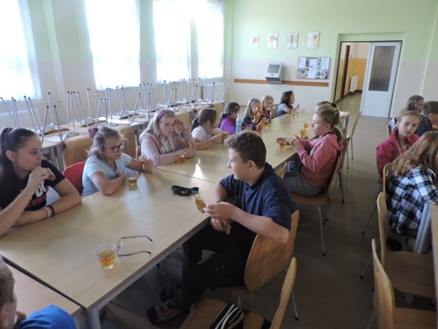 Obrázek galerie  4236