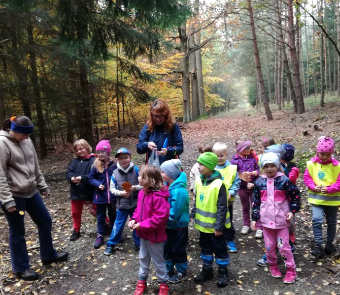 Obrázek galerie  4741