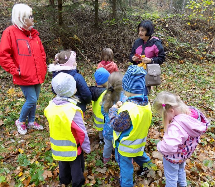 Obrázek galerie  4866