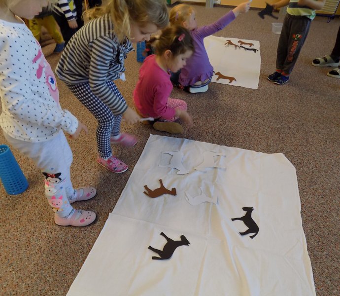 Obrázek galerie  4913