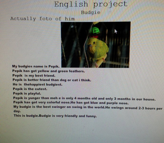 Obrázek galerie  6119