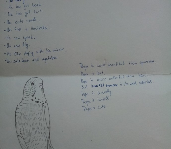 Obrázek galerie  6122