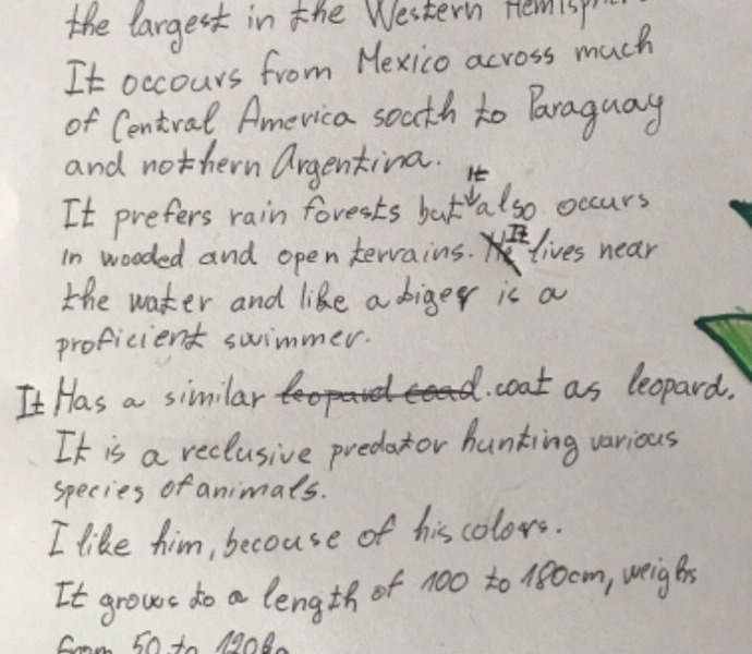 Obrázek galerie  6125