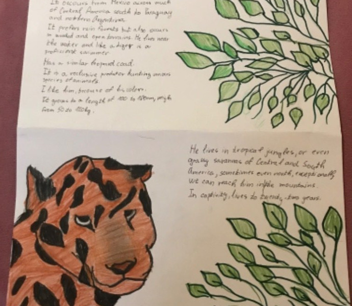 Obrázek galerie  6126