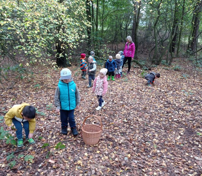 Obrázek galerie  6412