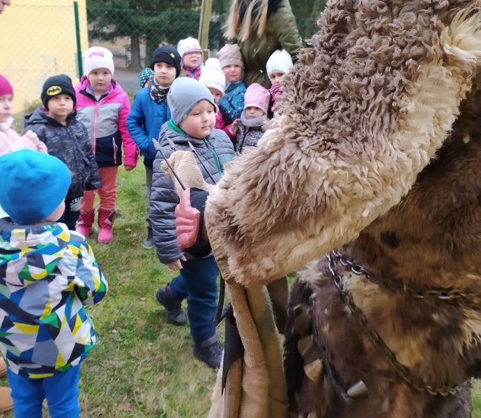 Obrázek galerie  6604