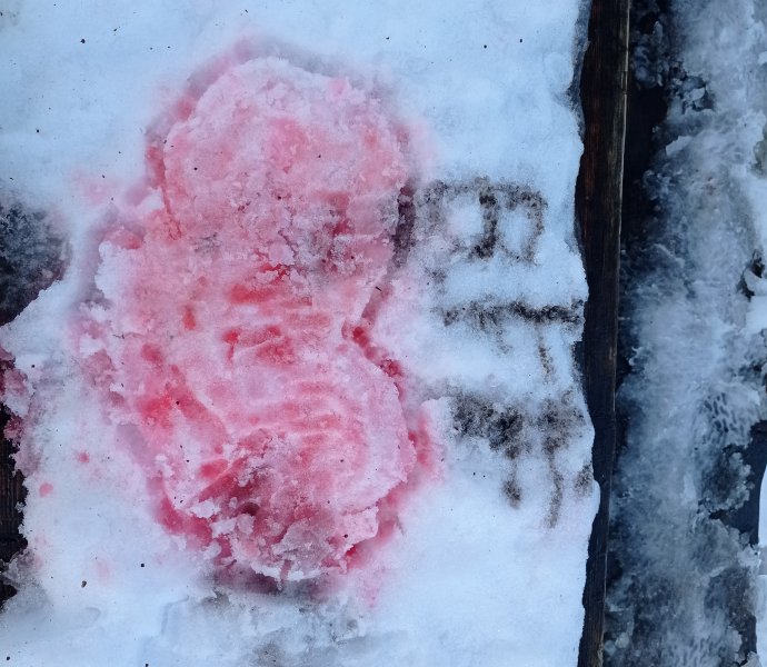 Obrázek galerie  6828