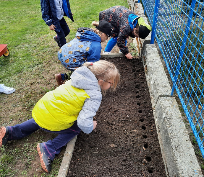 Obrázek galerie  7184