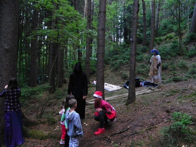 Obrázek galerie  593