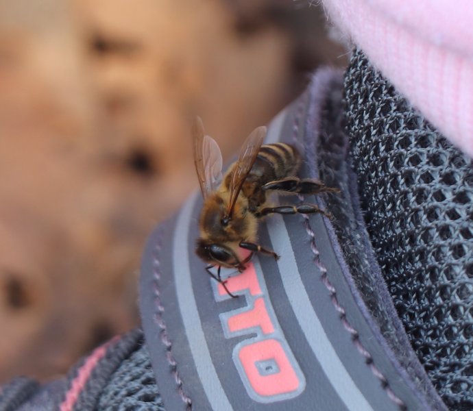 Obrázek galerie  7305