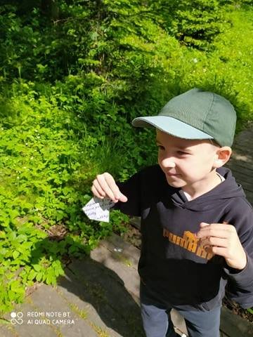 Obrázek galerie  7355