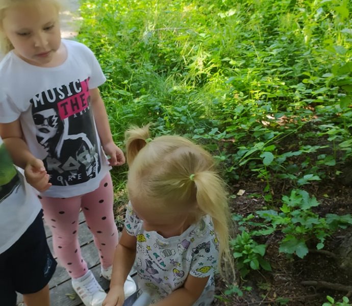 Obrázek galerie  7497