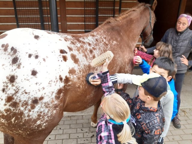 Obrázek galerie  7819