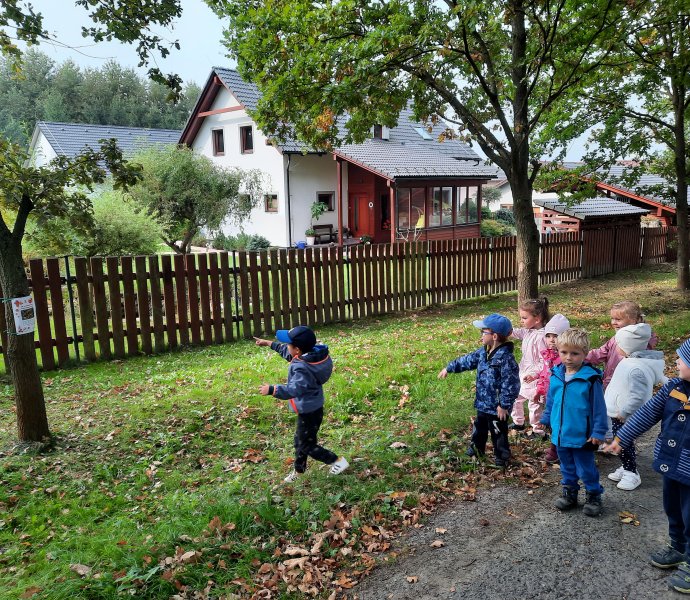 Obrázek galerie  7879