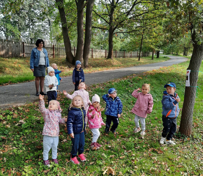 Obrázek galerie  7881