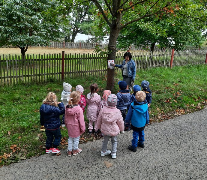 Obrázek galerie  7883