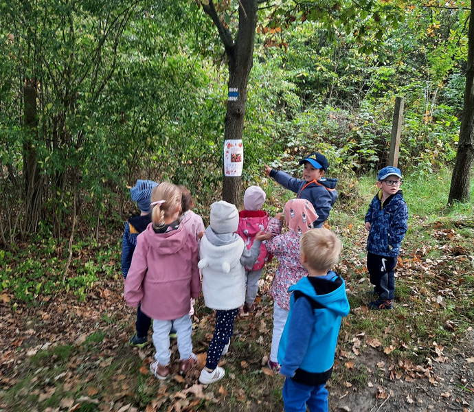 Obrázek galerie  7884