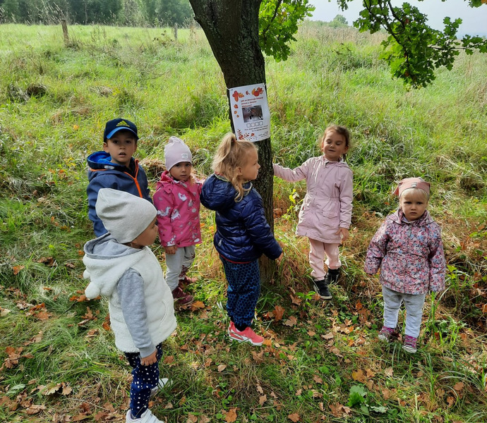 Obrázek galerie  7887