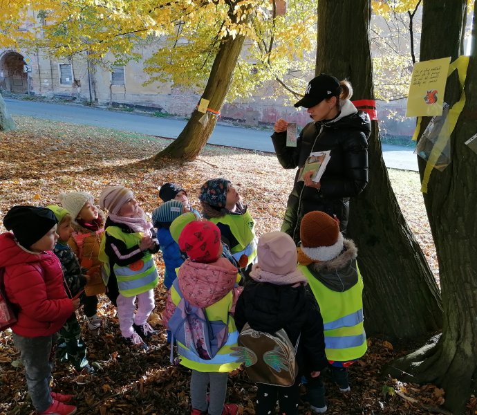 Obrázek galerie  8097