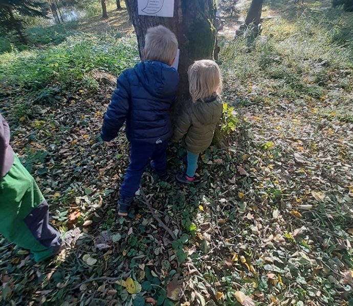 Obrázek galerie  8134