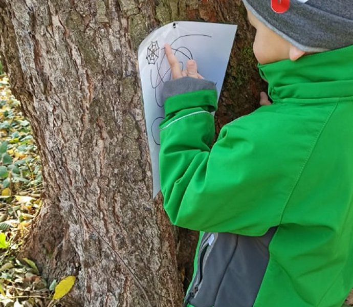 Obrázek galerie  8136