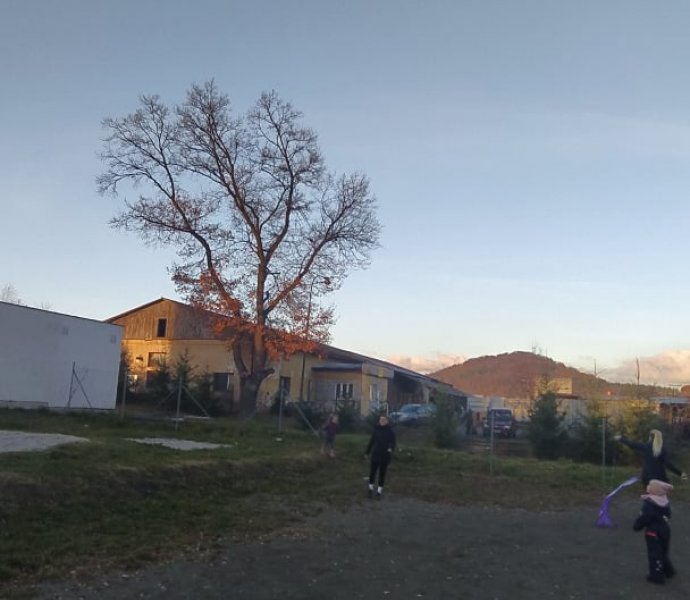 Obrázek galerie  8232